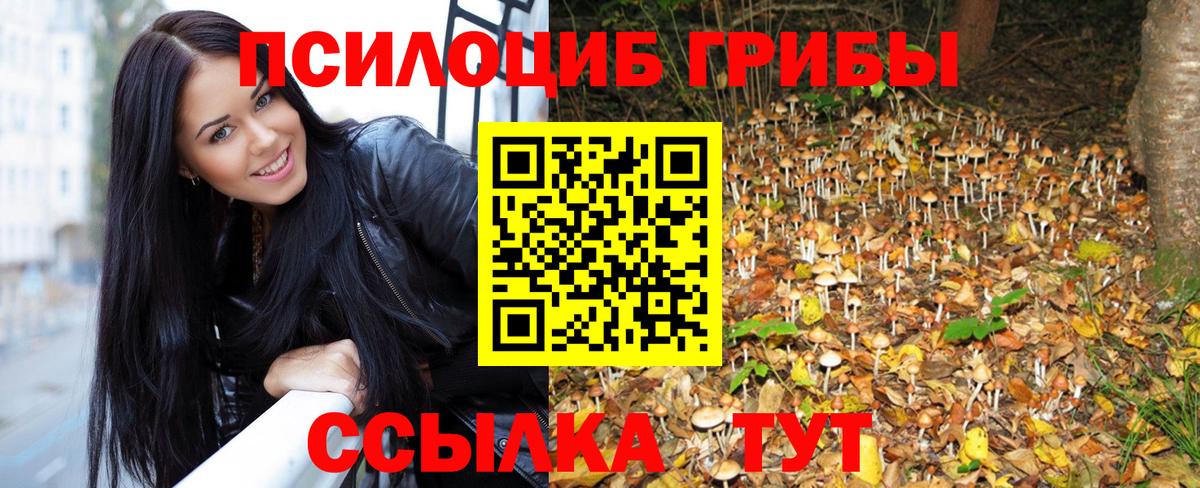 Донецк  Галлюциногенные грибы GOLDEN TEACHER  Вход с VPN 